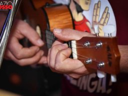 ukulele (3)